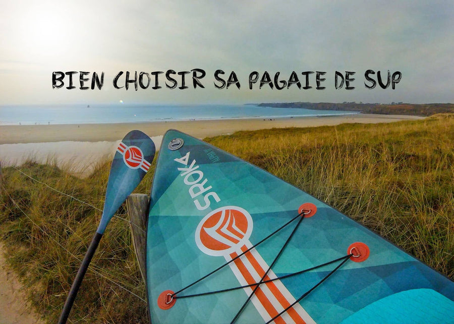 the right paddle