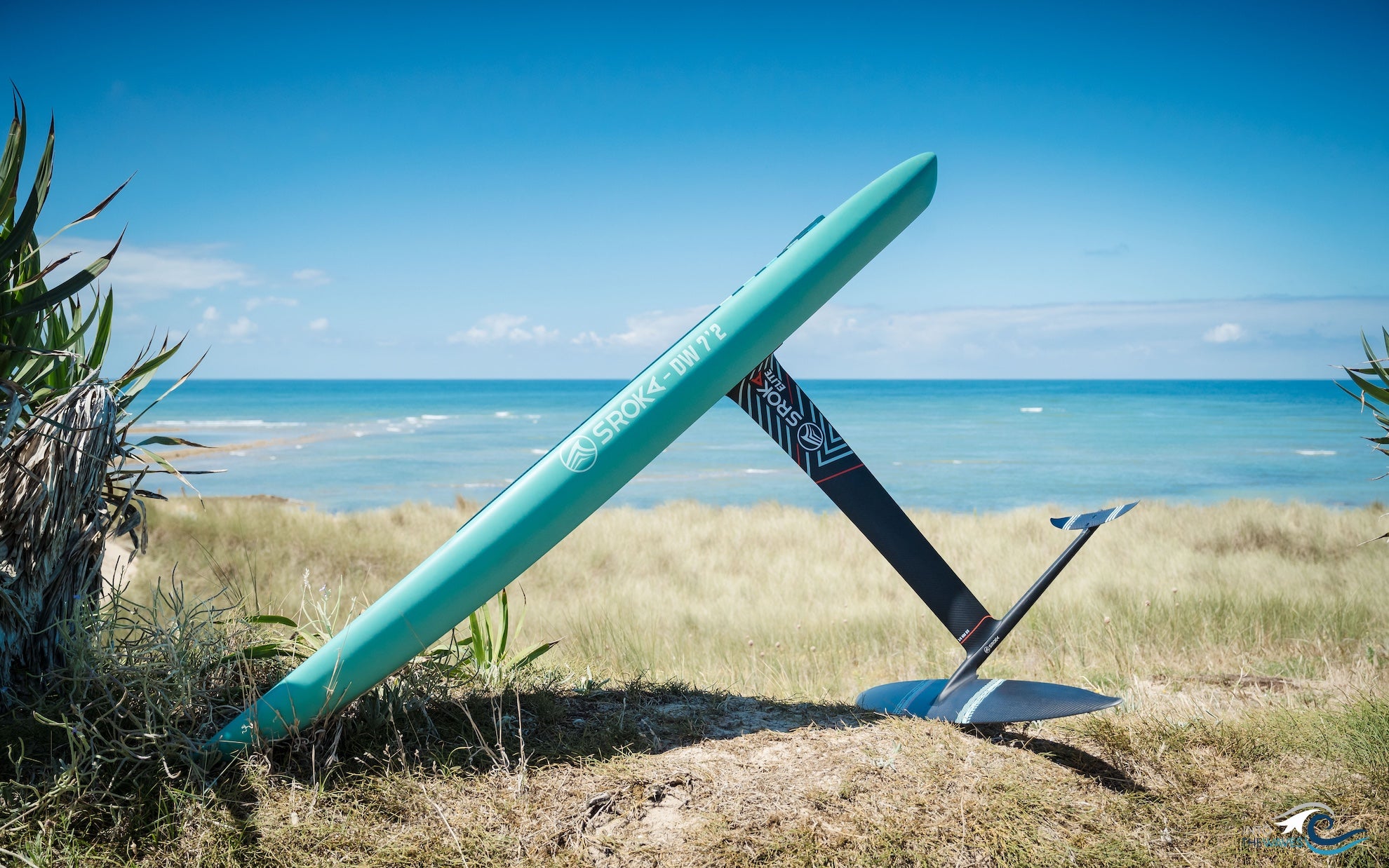 Planche DW 7'2 - Gamme Elite