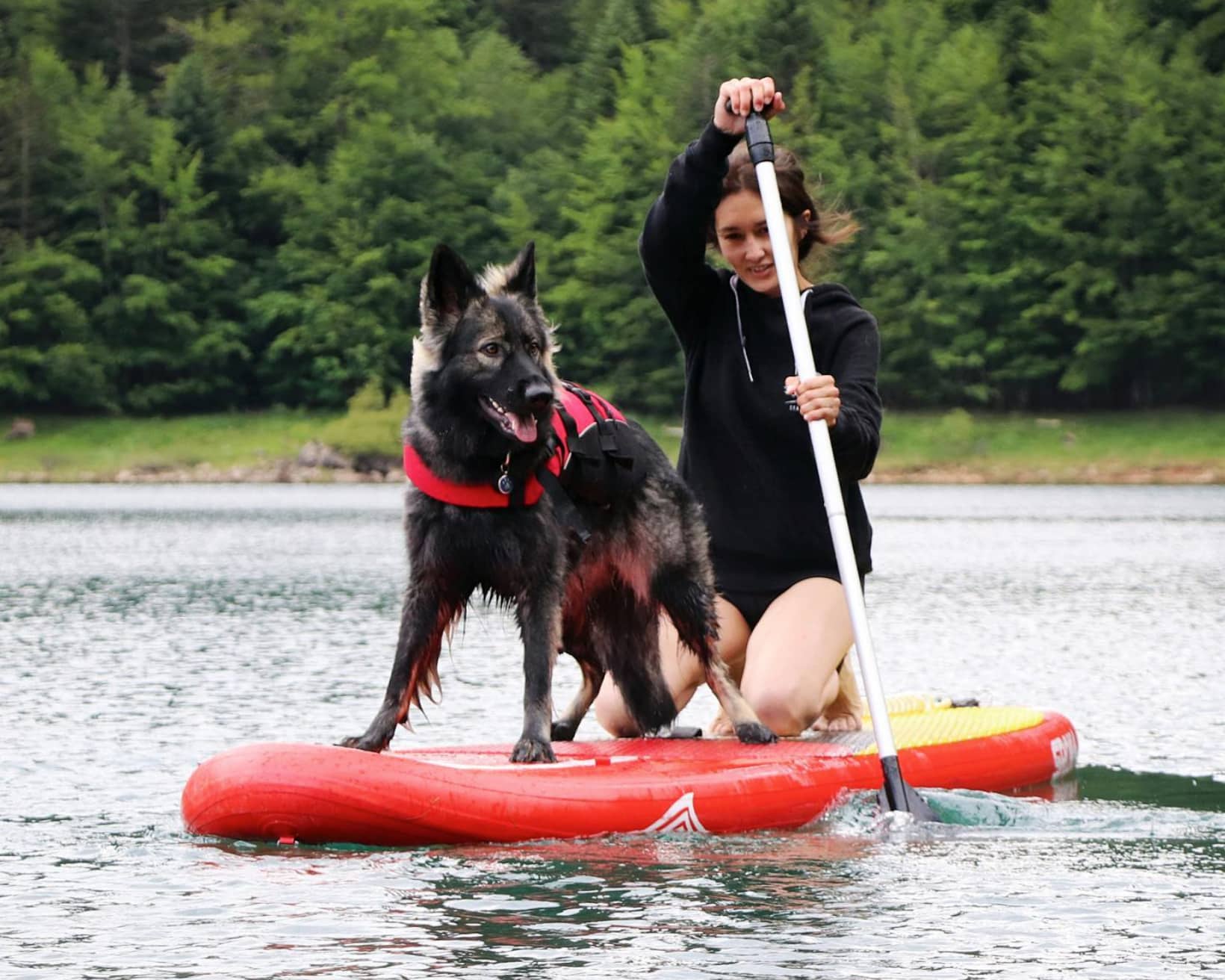 Comment faire du paddle avec son chien